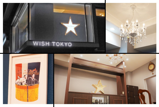 東京品川区の美容室WISH TOKYO